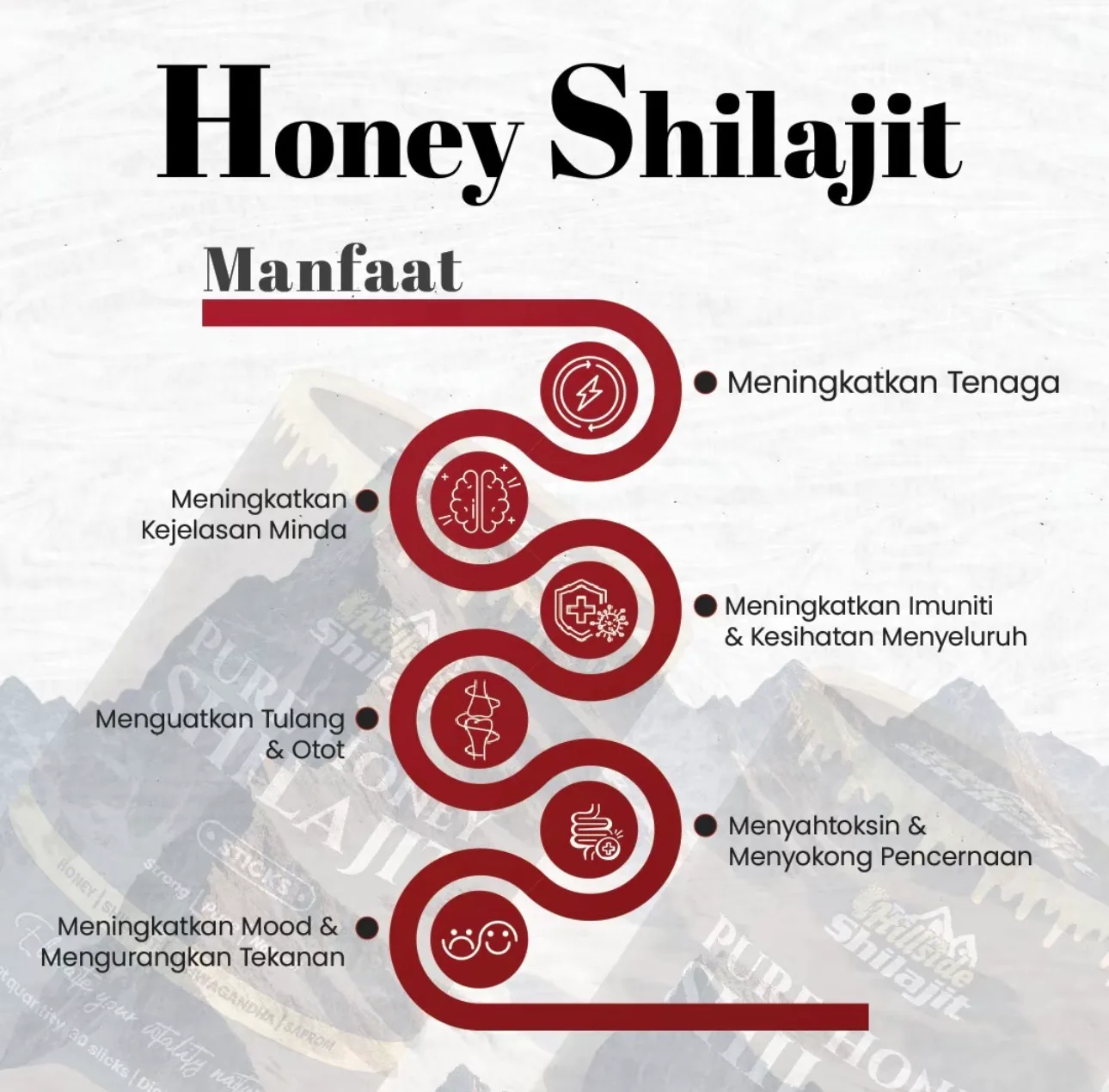 Supplier graphic headed “Honey Shilajit — Manfaat” (benefits), with six circular icons running down a mountain background, each carrying one line