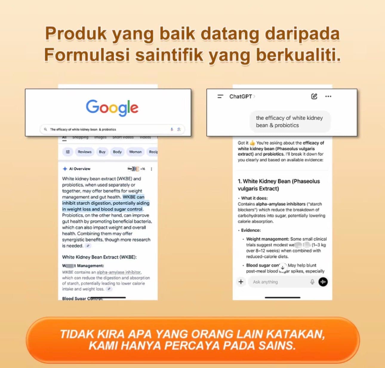 Supplier graphic showing screenshots of a Google search result and a ChatGPT answer about white kidney bean and probiotics