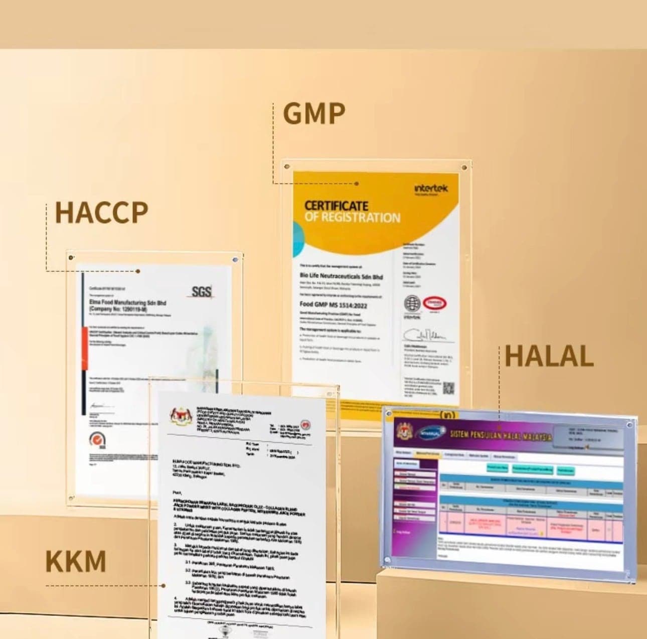 Supplier graphic displaying four framed documents: an SGS HACCP certificate for Elma Food Manufacturing, an Intertek GMP certificate, a Ministry of Health letter and a Malaysian Halal portal record