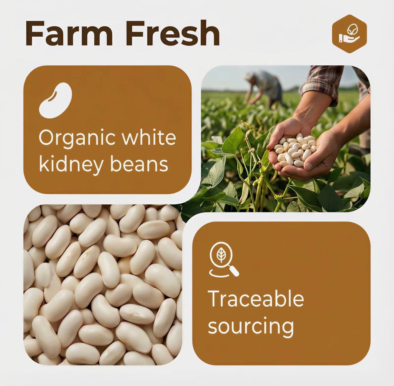 Supplier graphic headed “Farm Fresh”, showing white kidney beans and hands holding beans in a field